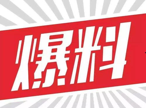 热点爆料免费素材视频  第2张